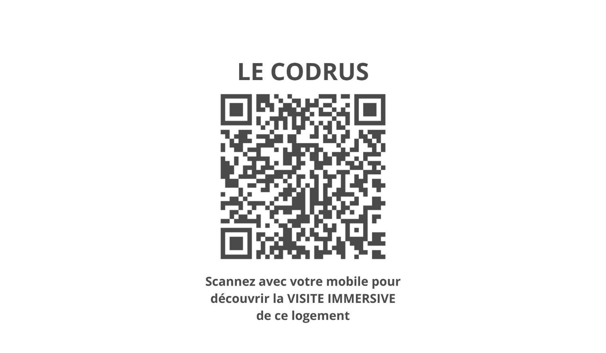 Le Codrus - Charmant Appartement Dans L'Hyper Centre Toulousain Tuluza Zewnętrze zdjęcie
